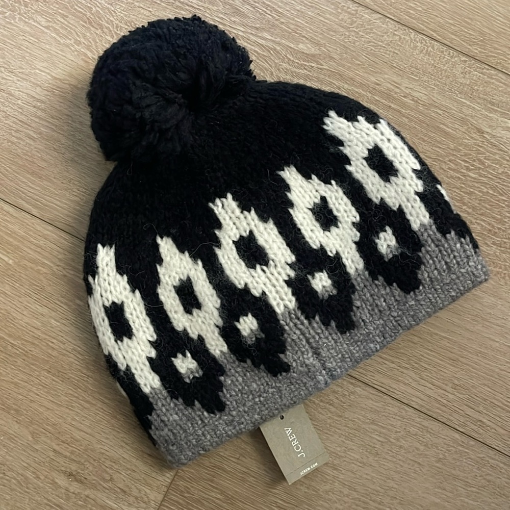 JCrew Pom Pom Beanie